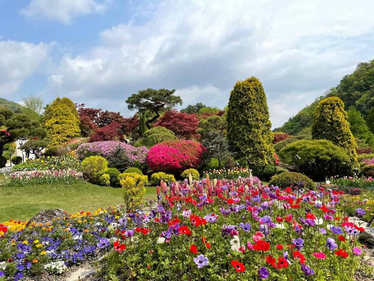 Garden of Morning Calm outside Seoul in spring.