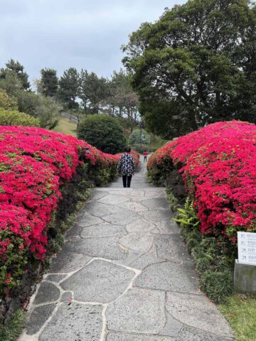Old lady walking in the grounds of Shilla Hotel, Jeju Island.