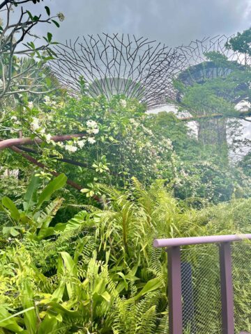 The Cloud Forest at Gardens by the Bay, Singapore.