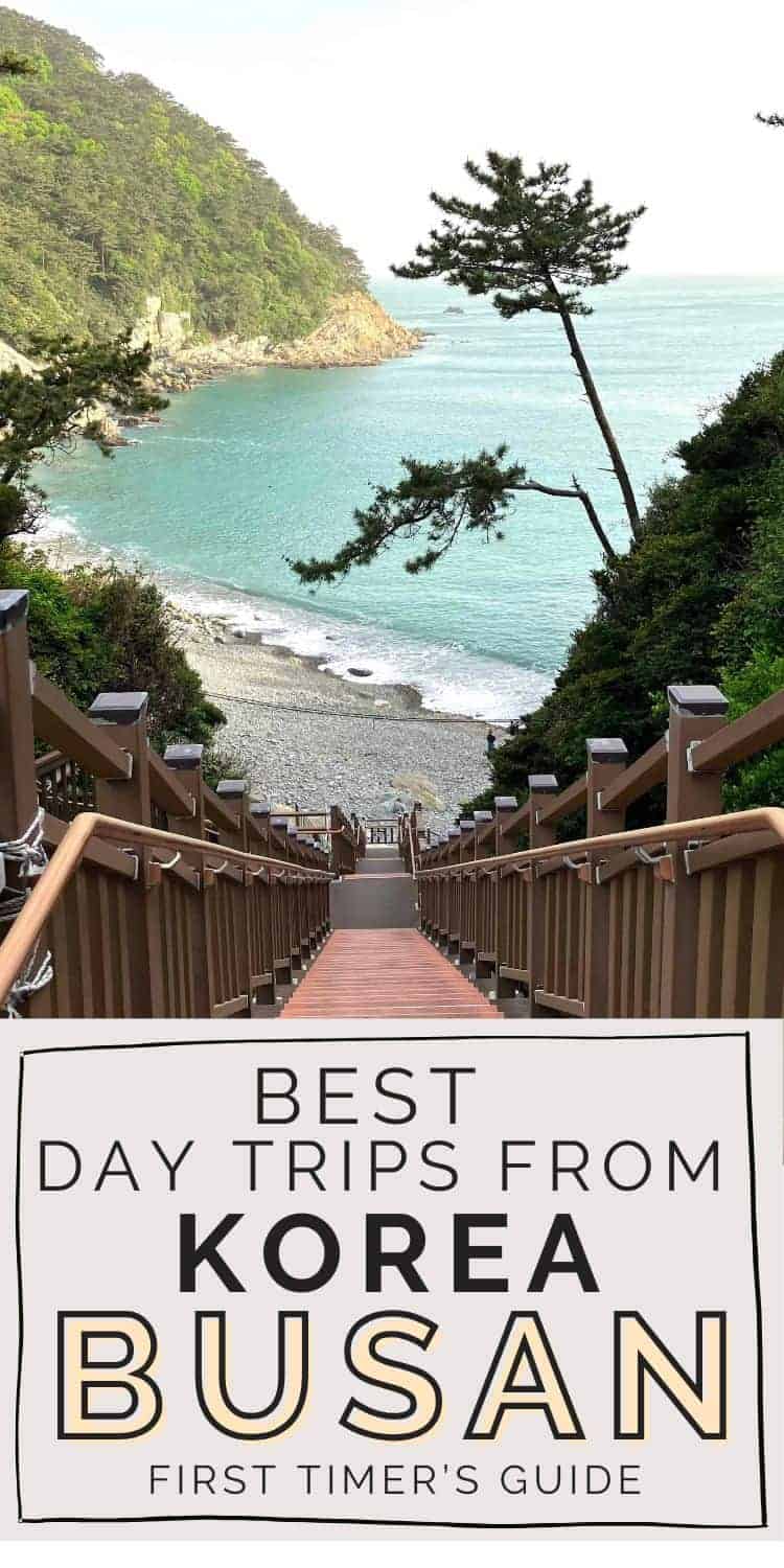Taejeongdae coast line with "best day trips from Busan Korea" written underneath.