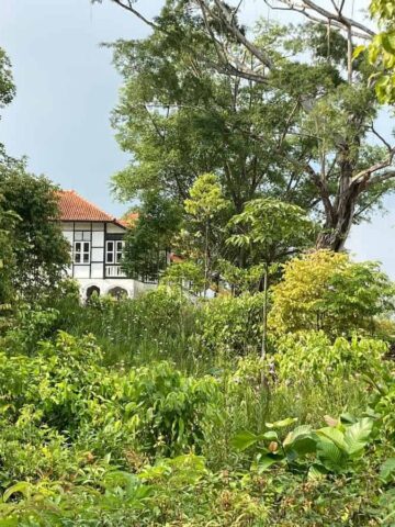 A black and White House at the Singapore Botanic Gardens.