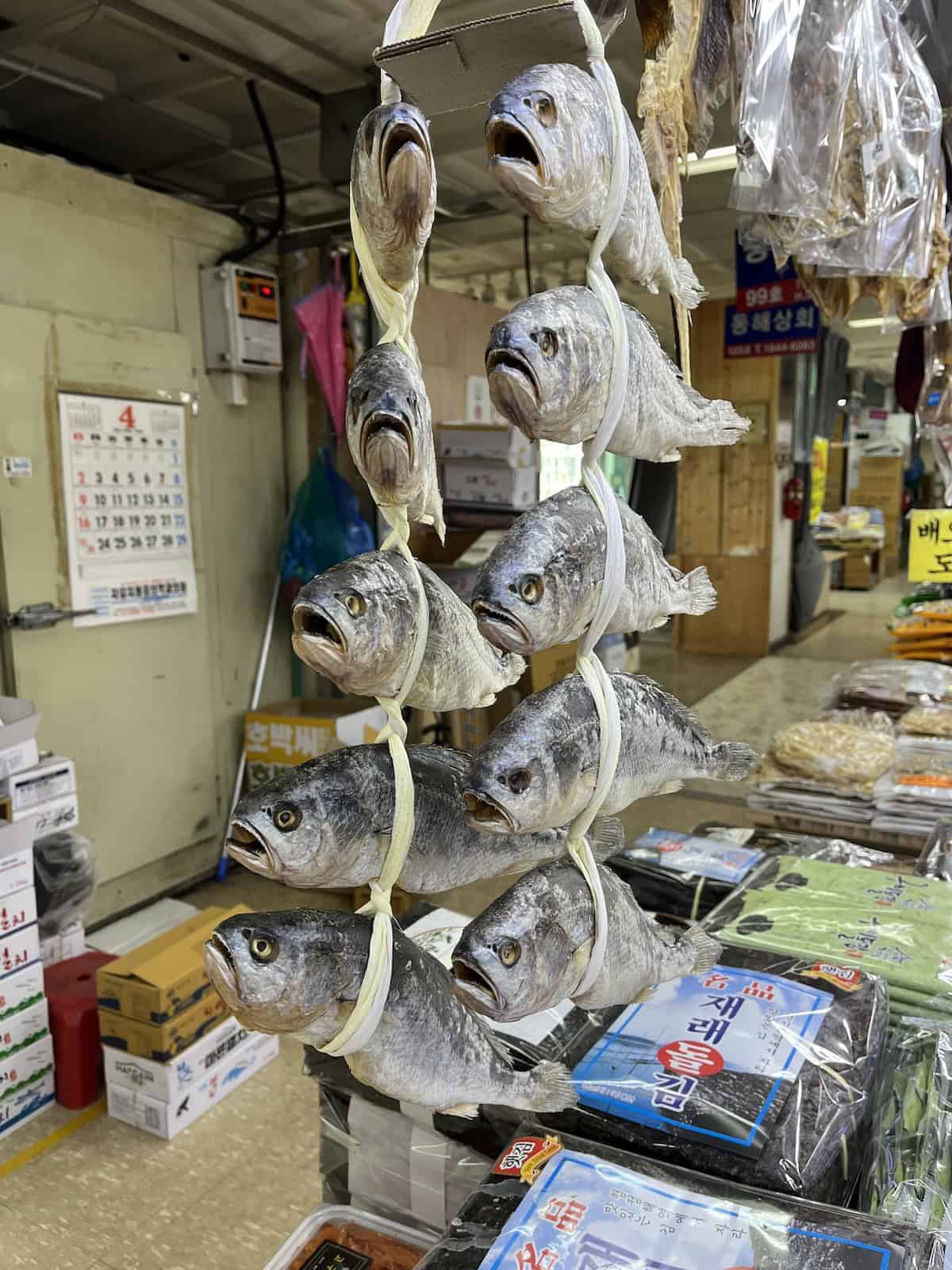 Dried fish hanging in Jagalchi Market Busan South Korea.